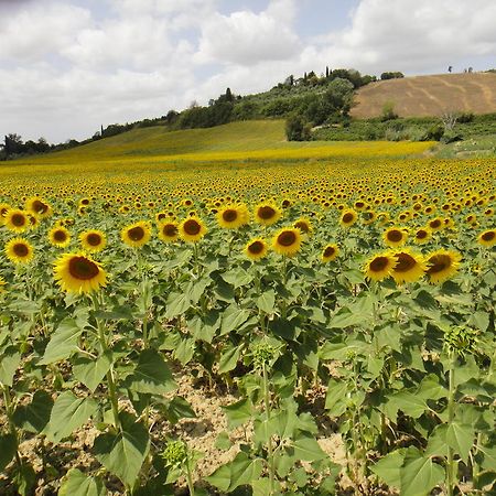 Vila Tenuta Di Colle Alberti Agriturismo Cerreto Guidi Exteriér fotografie
