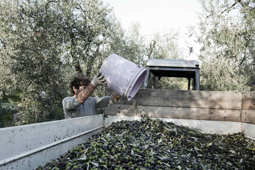 Vila Tenuta Di Colle Alberti Agriturismo Cerreto Guidi Exteriér fotografie