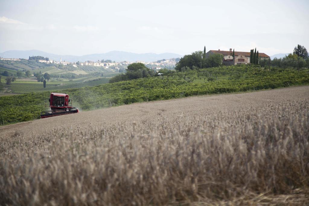 Vila Tenuta Di Colle Alberti Agriturismo Cerreto Guidi Exteriér fotografie