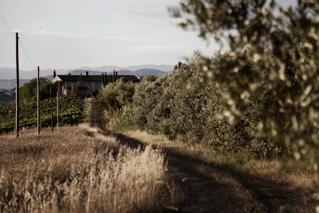 Vila Tenuta Di Colle Alberti Agriturismo Cerreto Guidi Exteriér fotografie
