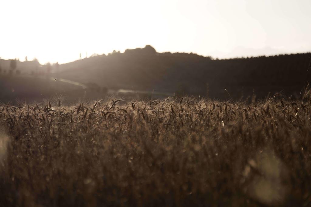 Vila Tenuta Di Colle Alberti Agriturismo Cerreto Guidi Exteriér fotografie